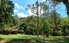 Jungle Zen Janda Baik Campsite